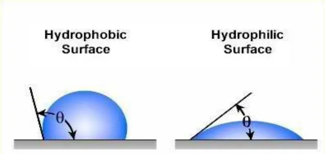 hydrophibic membrane hydrophibic membrane